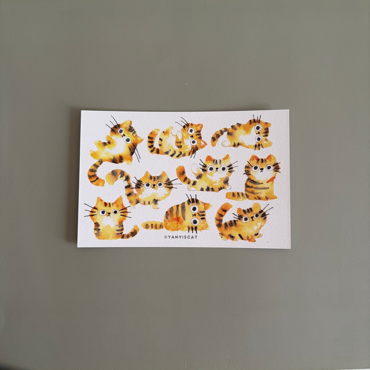 Postcard-9 little yellow cats