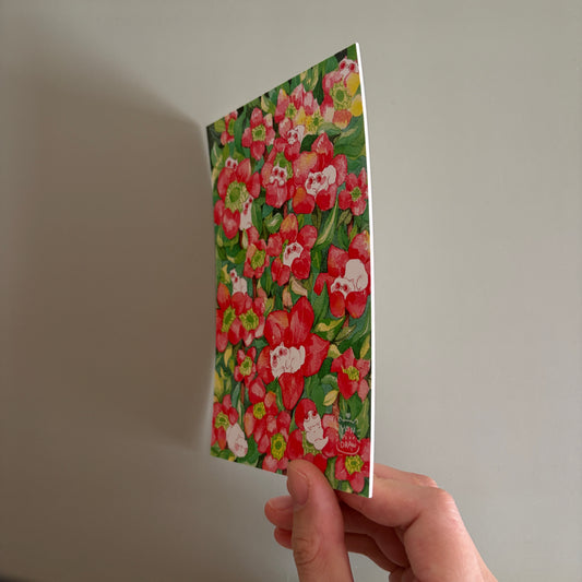 Postcard-Red Flower Kitten